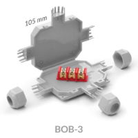 bob_3_01