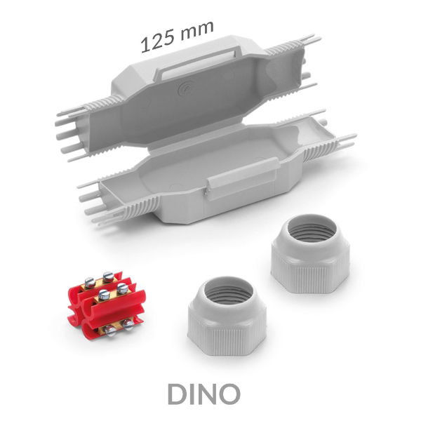 dino_01