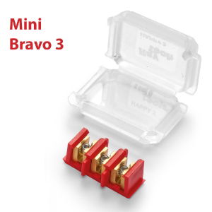 mini_bravo_3_01